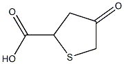 2-Thiophenecarboxylicacid,tetrahydro-4-oxo-(7CI) Struktur