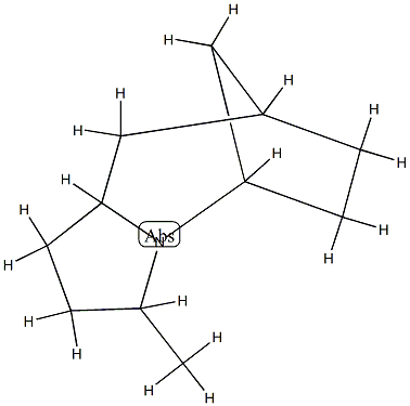 5,8-Methano-1H-pyrrolo[1,2-a]azepine,octahydro-3-methyl-(9CI) Struktur