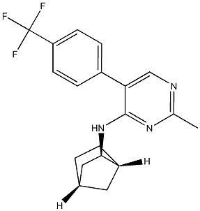 BHF 177 Struktur