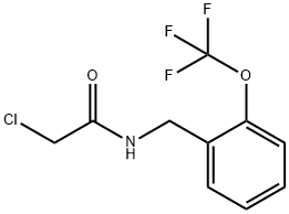 2-CHLORO-N-[2-(TRIFLUOROMETHOXY)BENZYL]ACETAMIDE Struktur