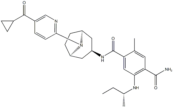 XL888