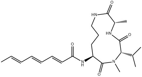 JBIR-15 Struktur