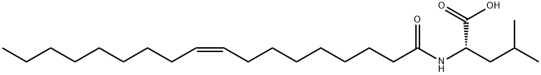 N-Oleoyl Leucine Struktur