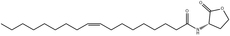 N-cis-octadec-9Z-enoyl-L-Homoserine lactone    Exclusive Struktur