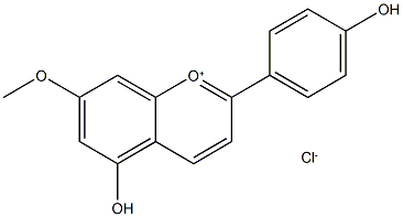 METHOXYAPIGENINIDIN CHLORIDE, 7-(RG) Struktur