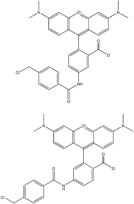 CellHunt Orange CMTMR  [5-(6)-(((4-ChloroMethyl)Benzoyl)AMino)TetraMethylrhodaMine] Struktur