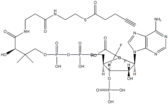 4-pentynoyl-Coenzyme A (trifluoroacetate salt) Struktur