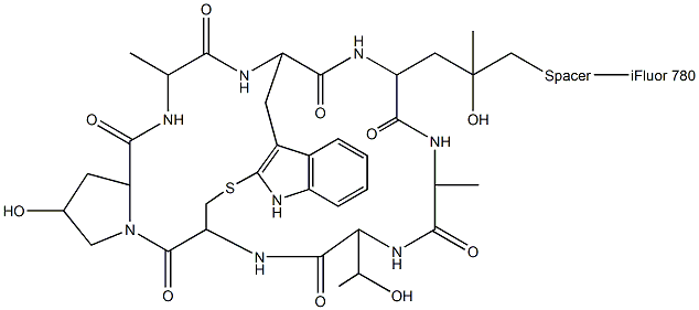 Phalloidin-iFluor 790 Conjugate Struktur