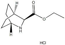 ETHYL (1R,3S,4S)-2-AZABICYCLO[2.2.2]OCTANE-3-CARBOXYLATE HYDROCHLORIDE Struktur