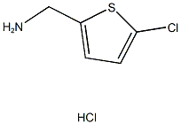 (5-CHLOROTHIEN-2-YL)METHYLAMINE HYDROCHLORIDE Struktur