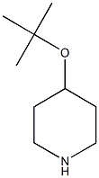 4-(tert-butoxy)piperidine Struktur