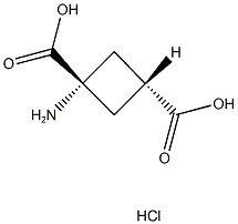 (TRANS)-1-AMINOCYCLOBUTANE-1,3-DICARBOXYLIC ACID HYDROCHLORIDE Struktur