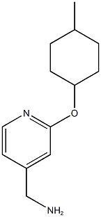 {2-[(4-methylcyclohexyl)oxy]pyridin-4-yl}methanamine Struktur