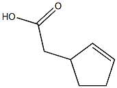 2-(cyclopent-2-en-1-yl)acetic acid Struktur