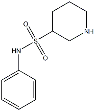 N-phenylpiperidine-3-sulfonamide Struktur