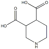 piperidine-3,4-dicarboxylic acid Struktur