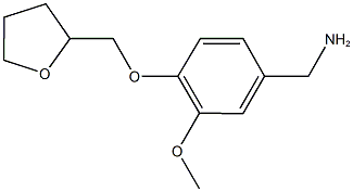 1-[3-methoxy-4-(tetrahydrofuran-2-ylmethoxy)phenyl]methanamine Struktur