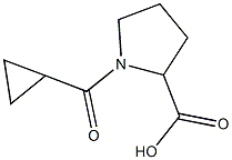 1-(cyclopropylcarbonyl)pyrrolidine-2-carboxylic acid Struktur