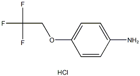 4-(2,2,2-trifluoroethoxy)aniline hydrochloride Struktur