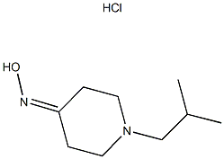 1-ISOBUTYLPIPERIDIN-4-ONE OXIME HYDROCHLORIDE Struktur