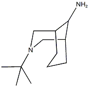 3-tert-butyl-3-azabicyclo[3.3.1]nonan-9-amine Struktur