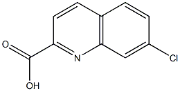 7-chloroquinoline-2-carboxylic acid Struktur