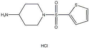 1-(THIEN-2-YLSULFONYL)PIPERIDIN-4-AMINE HYDROCHLORIDE Struktur