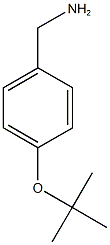 [4-(tert-butoxy)phenyl]methanamine Struktur