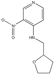 3-nitro-N-(oxolan-2-ylmethyl)pyridin-4-amine Struktur