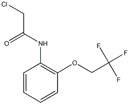 2-CHLORO-N-[2-(2,2,2-TRIFLUOROETHOXY)PHENYL]ACETAMIDE Struktur