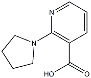 2-(pyrrolidin-1-yl)pyridine-3-carboxylic acid Struktur