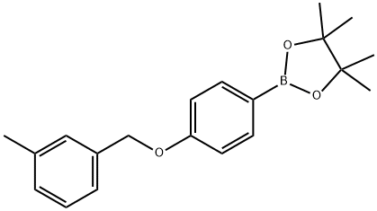 4,4,5,5-tetramethyl-2-(4-((3-methylbenzyl)oxy)phenyl)-1,3,2-dioxaborolane Struktur