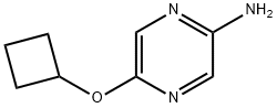 2-Amino-5-(cyclobutoxy)pyrazine Struktur