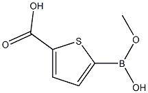 Methyl thiophene-2-boronic acid-5-carboxylate Struktur