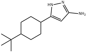 3-(4-tert-butylcyclohexyl)-1H-pyrazol-5-amine Struktur