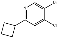 3-Bromo-4-chloro-6-cyclobutylpyridine Struktur