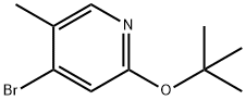 4-Bromo-5-methyl-2-(tert-butoxy)pyridine Struktur