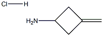 3-Methylenecyclobutanamine hydrochloride Struktur