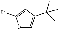 2-Bromo-4-(tert-butyl)furan Struktur