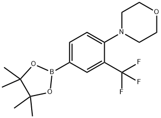 3-(Trifluoromethyl)-4-(morpholino)phenylboronic acid pinacol ester Struktur