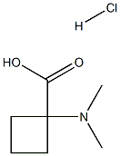 1-(dimethylamino)cyclobutane-1-carboxylic acid hydrochloride Struktur