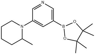 5-(2-Methylpiperidin-1-yl)pyridine-3-boronic acid pinacol ester Struktur