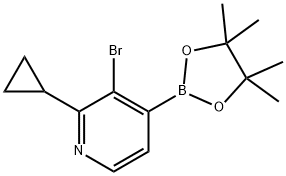 2-Cyclopropyl-3-bromopyridine-4-boronic acid pinacol ester Struktur