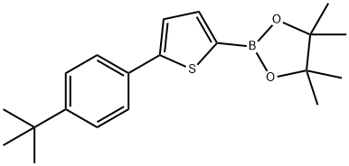 5-(4-tert-Butylphenyl)thiophene-2-boronic acid pinacol ester Struktur