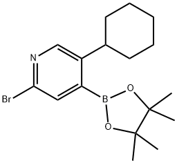 2-Bromo-5-cyclohexylpyridine-4-boronic acid pinacol ester Struktur