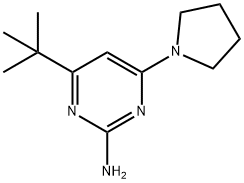 2-amino-4-(pyrrolidin-1-yl)-6-(tert-butyl)pyrimidine Struktur