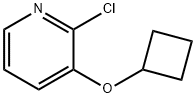 2-Chloro-3-(cyclobutoxy)pyridine Struktur