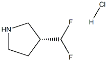 (R)-3-(difluoromethyl)pyrrolidine hydrochloride Struktur