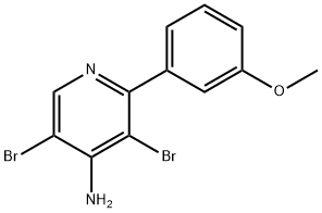 4-Amino-3,5-dibromo-2-(3-methoxyphenyl)pyridine Struktur