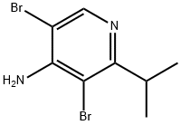 4-Amino-3,5-dibromo-2-(iso-propyl)pyridine Struktur